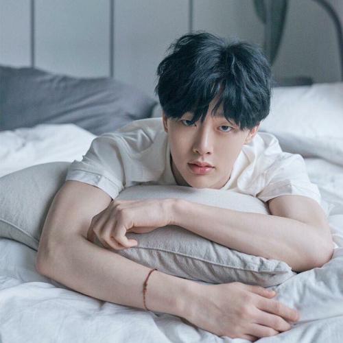 สมาชิกหมายเลข 2240617