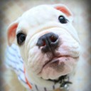 นู๋จ๋ากะลุงจ๋า