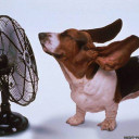 สมาชิกหมายเลข 4453737