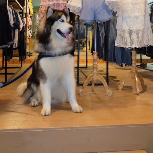 สมาชิกหมายเลข 4784948