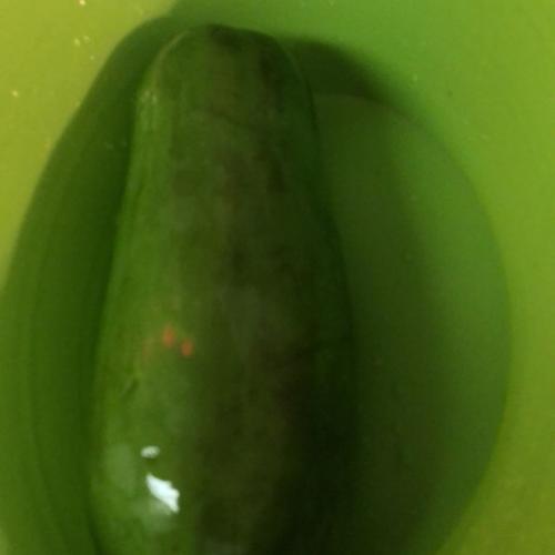 สมาชิกหมายเลข 4793344