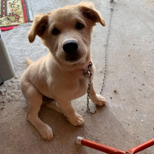 สมาชิกหมายเลข 3828788