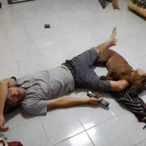 สมาชิกหมายเลข 5170883