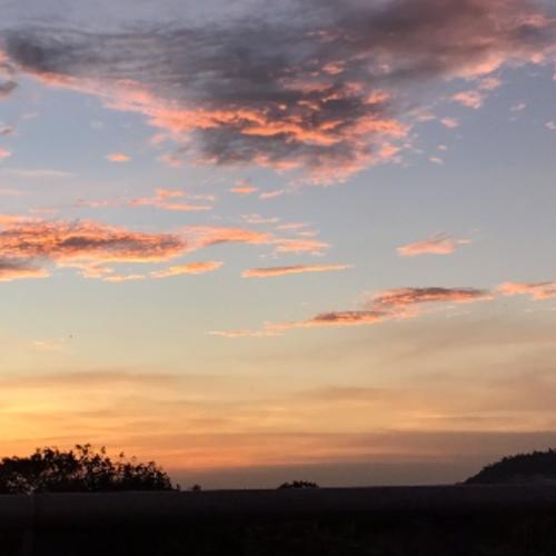 สมาชิกหมายเลข 2364534