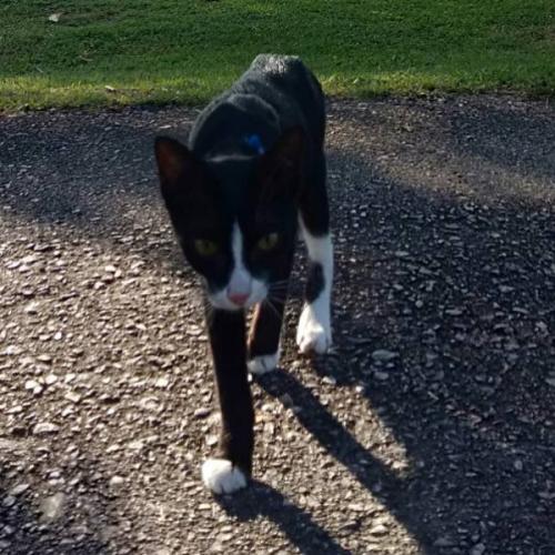 สมาชิกหมายเลข 5171992