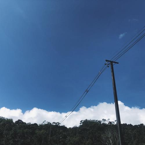 สมาชิกหมายเลข 5578313