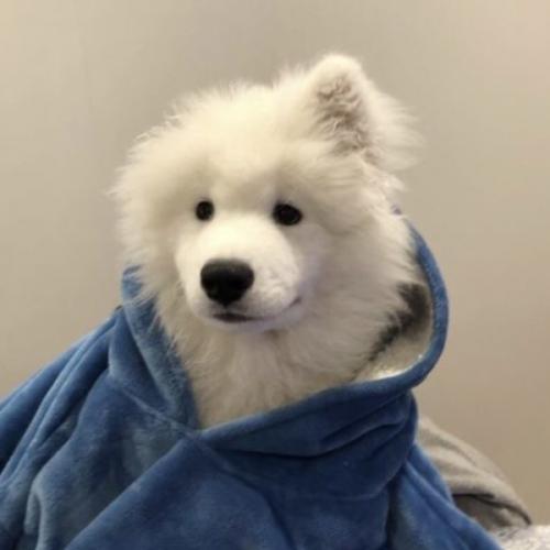 สมาชิกหมายเลข 3355424