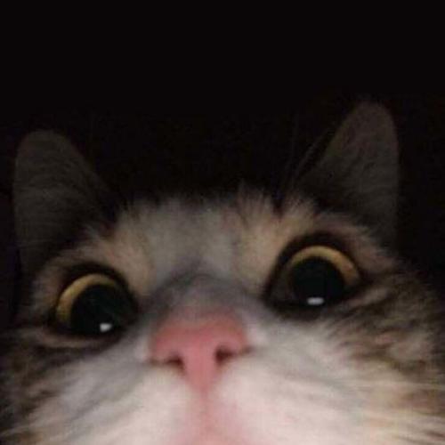 สมาชิกหมายเลข 6139159