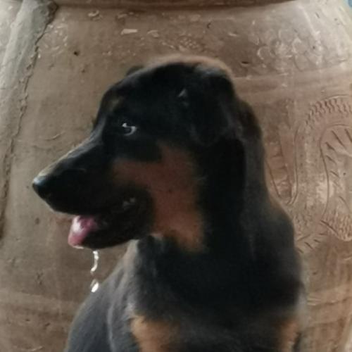 สมาชิกหมายเลข 3659179