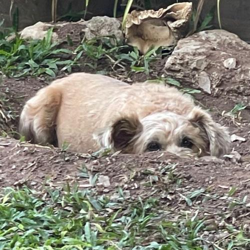 สมาชิกหมายเลข 7026900