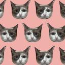 สมาชิกหมายเลข 2733581