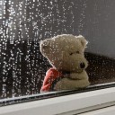 สมาชิกหมายเลข 3981526