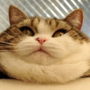 สมาชิกหมายเลข 745513