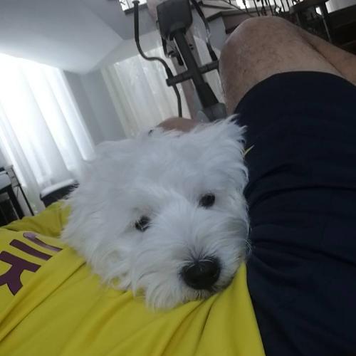 สมาชิกหมายเลข 4793593