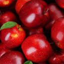 สมาชิกหมายเลข 4982046