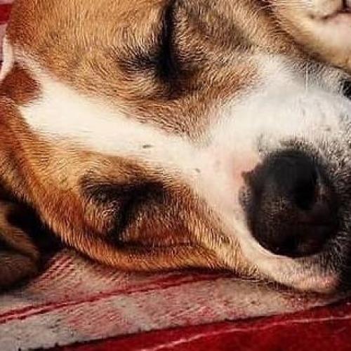 สมาชิกหมายเลข 5173293