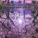 สมาชิกหมายเลข 5173316