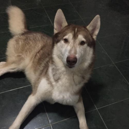 สมาชิกหมายเลข 2711153