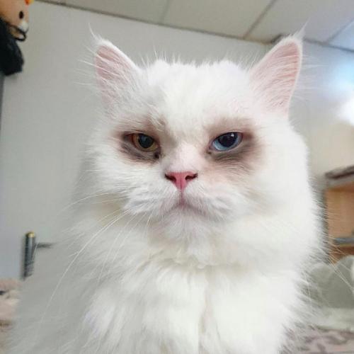 สมาชิกหมายเลข 5578578