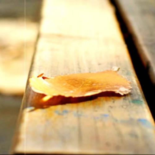 สมาชิกหมายเลข 5578637