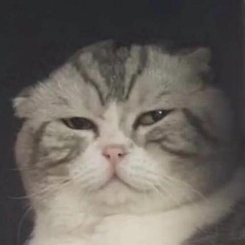 สมาชิกหมายเลข 5578782