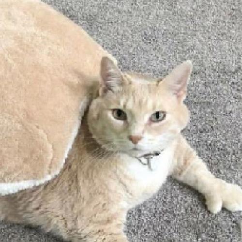 สมาชิกหมายเลข 5999179