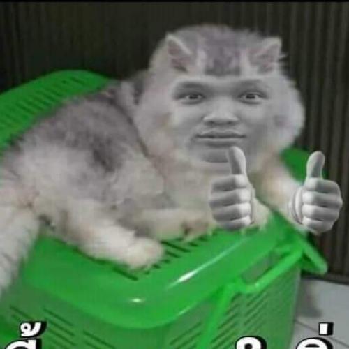 สมาชิกหมายเลข 6764993