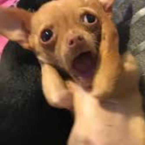 สมาชิกหมายเลข 7535930