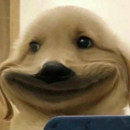 สมาชิกหมายเลข 7536171