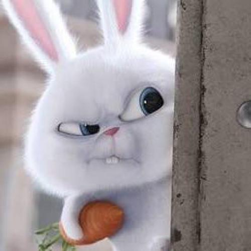 สมาชิกหมายเลข 3082096