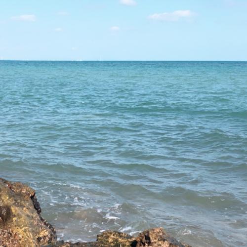 สมาชิกหมายเลข 4894159