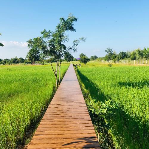 สมาชิกหมายเลข 1060890