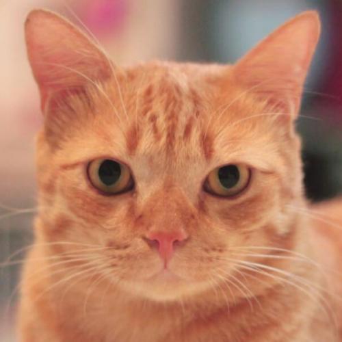 ชื่ออะไรก็ไม่อนุมัติคิดให้ทีสิ