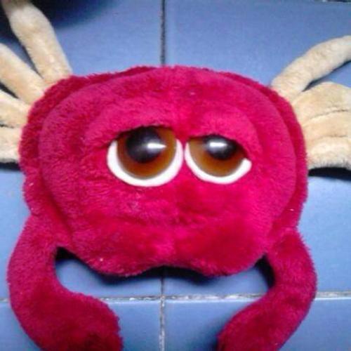 สมาชิกหมายเลข 4420055