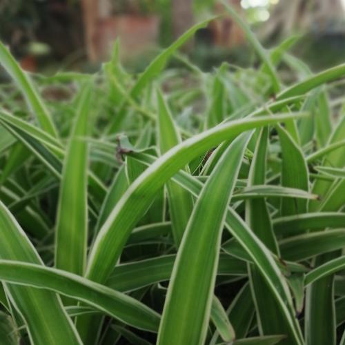 สมาชิกหมายเลข 4848936