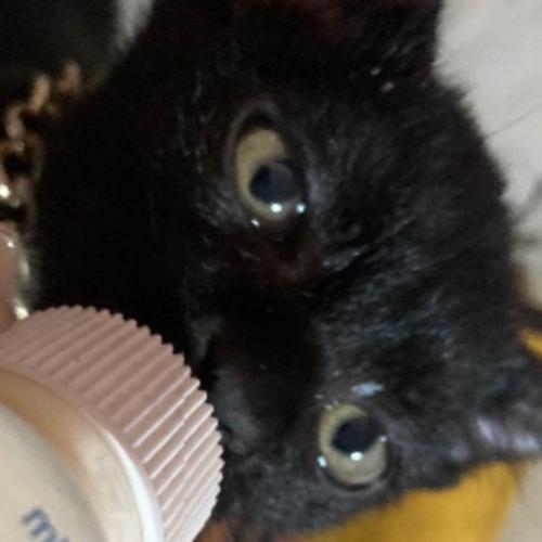 สมาชิกหมายเลข 7536682