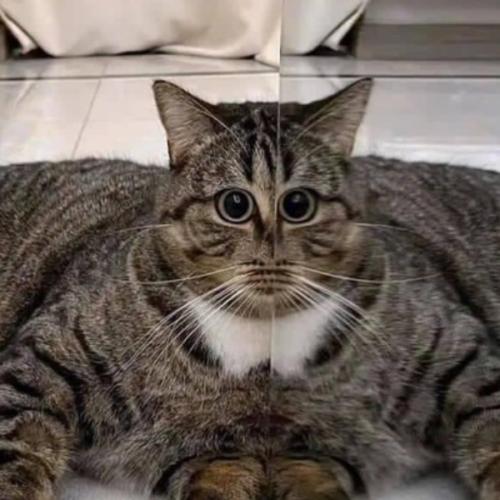 สมาชิกหมายเลข 5396728