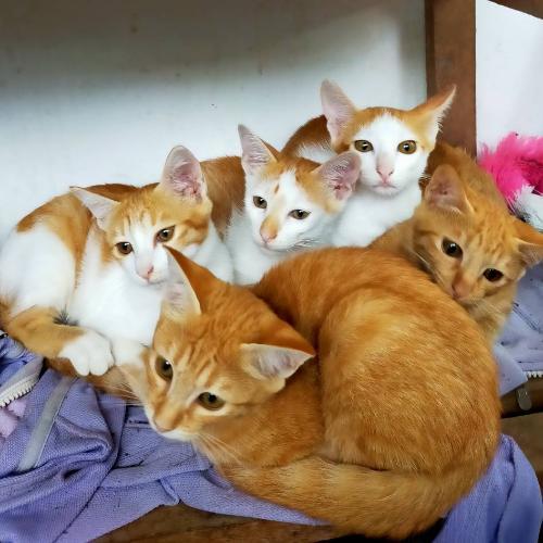 สมาชิกหมายเลข 8447467