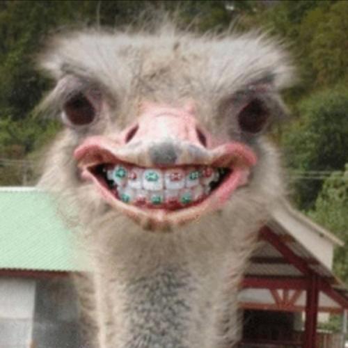 สมาชิกหมายเลข 8447567