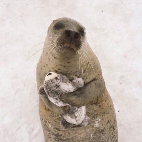 สมาชิกหมายเลข 2624306