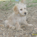 สมาชิกหมายเลข 1891834