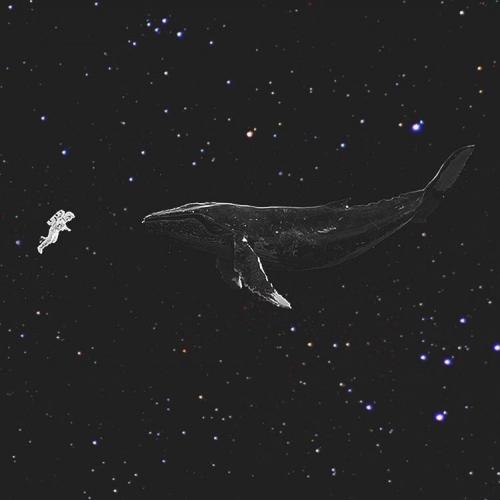 สมาชิกหมายเลข 4589314