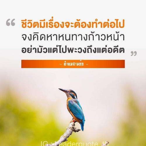 สมาชิกหมายเลข 4922625