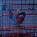 สมาชิกหมายเลข 5173815