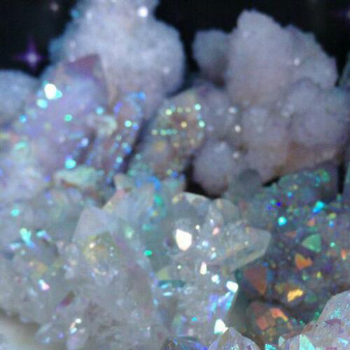 สมาชิกหมายเลข 5174085