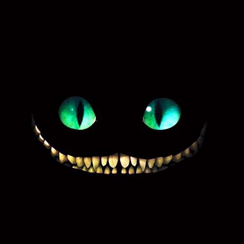 สมาชิกหมายเลข 5579838