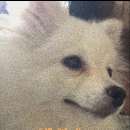 สมาชิกหมายเลข 5580048