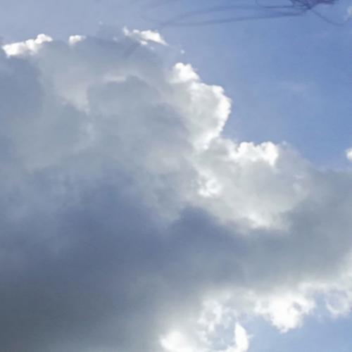 สมาชิกหมายเลข 4377190