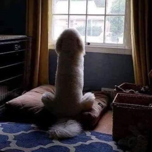 สมาชิกหมายเลข 4465781