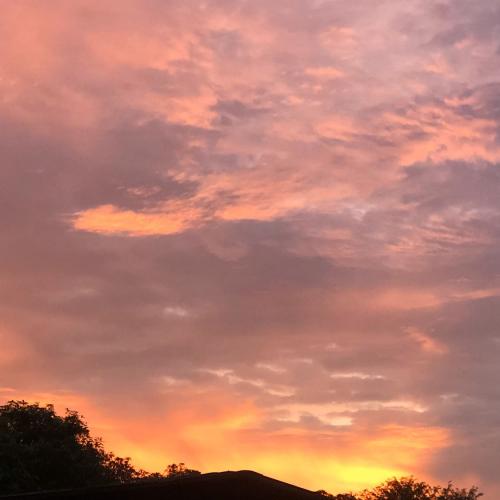 สมาชิกหมายเลข 6138125